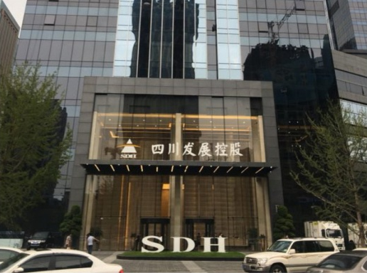 四川发展(控股)公司