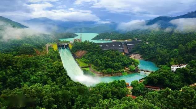 江门市河排林场